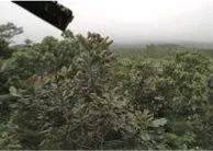 这才是真相：绿色关爱，狗万的环境政策